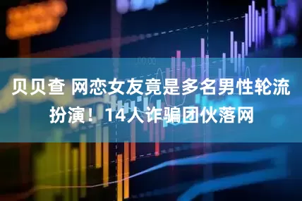 贝贝查 网恋女友竟是多名男性轮流扮演！14人诈骗团伙落网