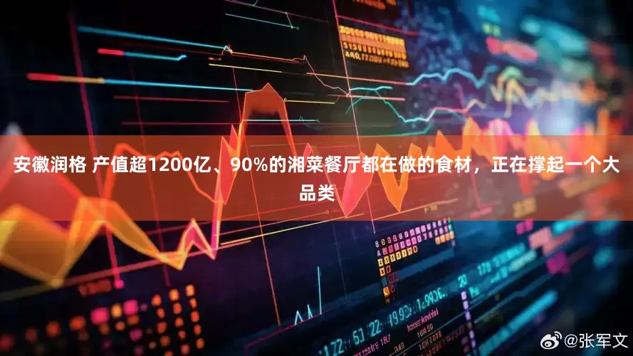 安徽润格 产值超1200亿、90%的湘菜餐厅都在做的食材，正在撑起一个大品类