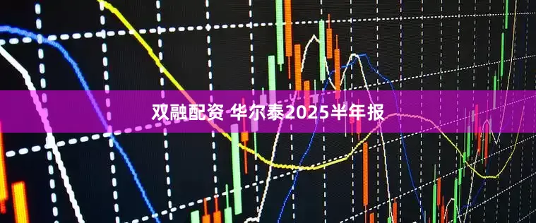 双融配资 华尔泰2025半年报