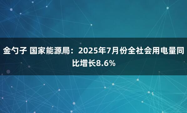 金勺子 国家能源局:2025年7月份全社会用电量同比增长8.6%