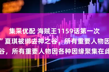 集采优配 海贼王1159话第一次情报更新|“宝藏”夏琪被绑去神之谷，所有重要人物因各种因缘聚集在此