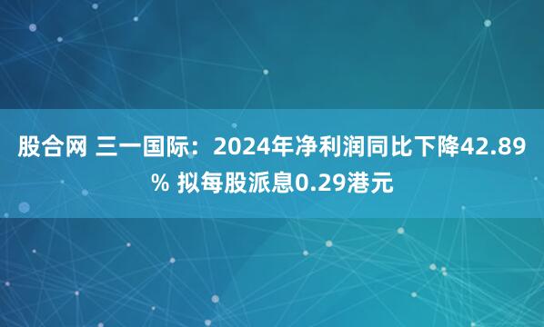 股合网 三一国际：2024年净利润同比下降42.89% 拟每股派息0.29港元