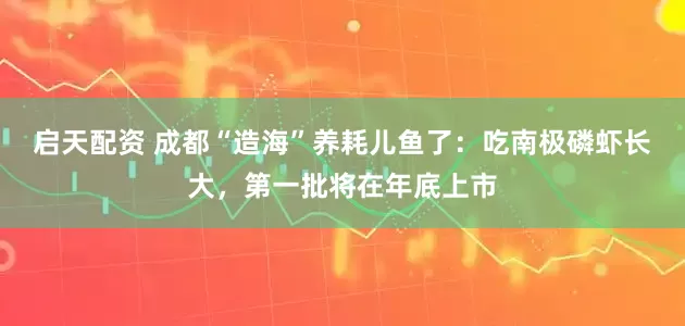 启天配资 成都“造海”养耗儿鱼了：吃南极磷虾长大，第一批将在年底上市