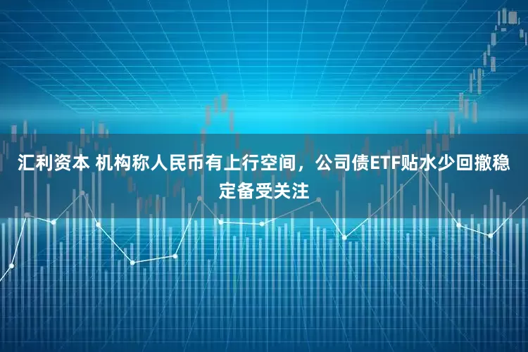 汇利资本 机构称人民币有上行空间，公司债ETF贴水少回撤稳定备受关注